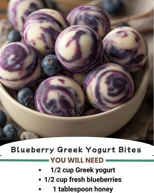 Blueberry Greek Yogurt Bites
