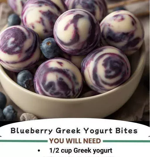 Blueberry Greek Yogurt Bites
